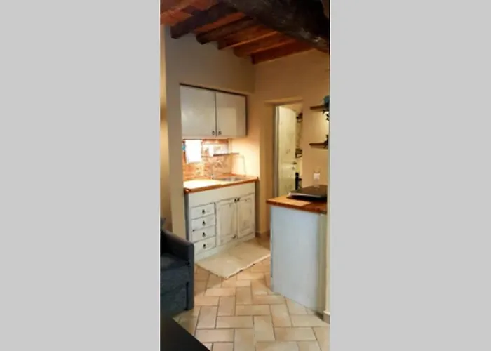 Tra Miracoli E Cavalieri